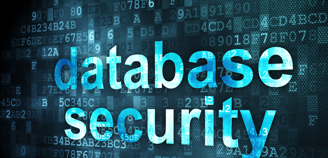 Database Security